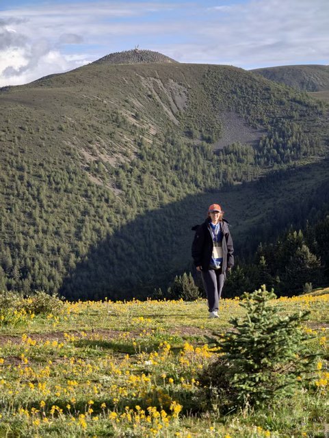 Traveler walking toward a snow-capped peak