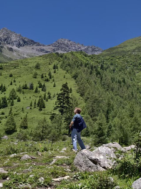 Traveler looking out over a green valley