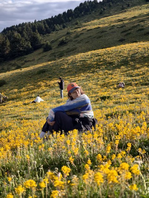 Traveler sitting in a field of wildflowers